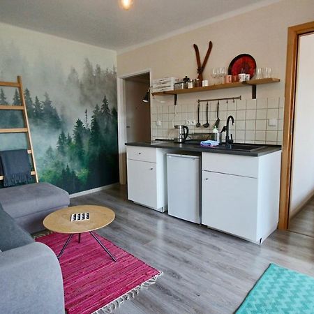 شقة Apartament Bazatatry Sloneczny II زاكوباني المظهر الخارجي الصورة