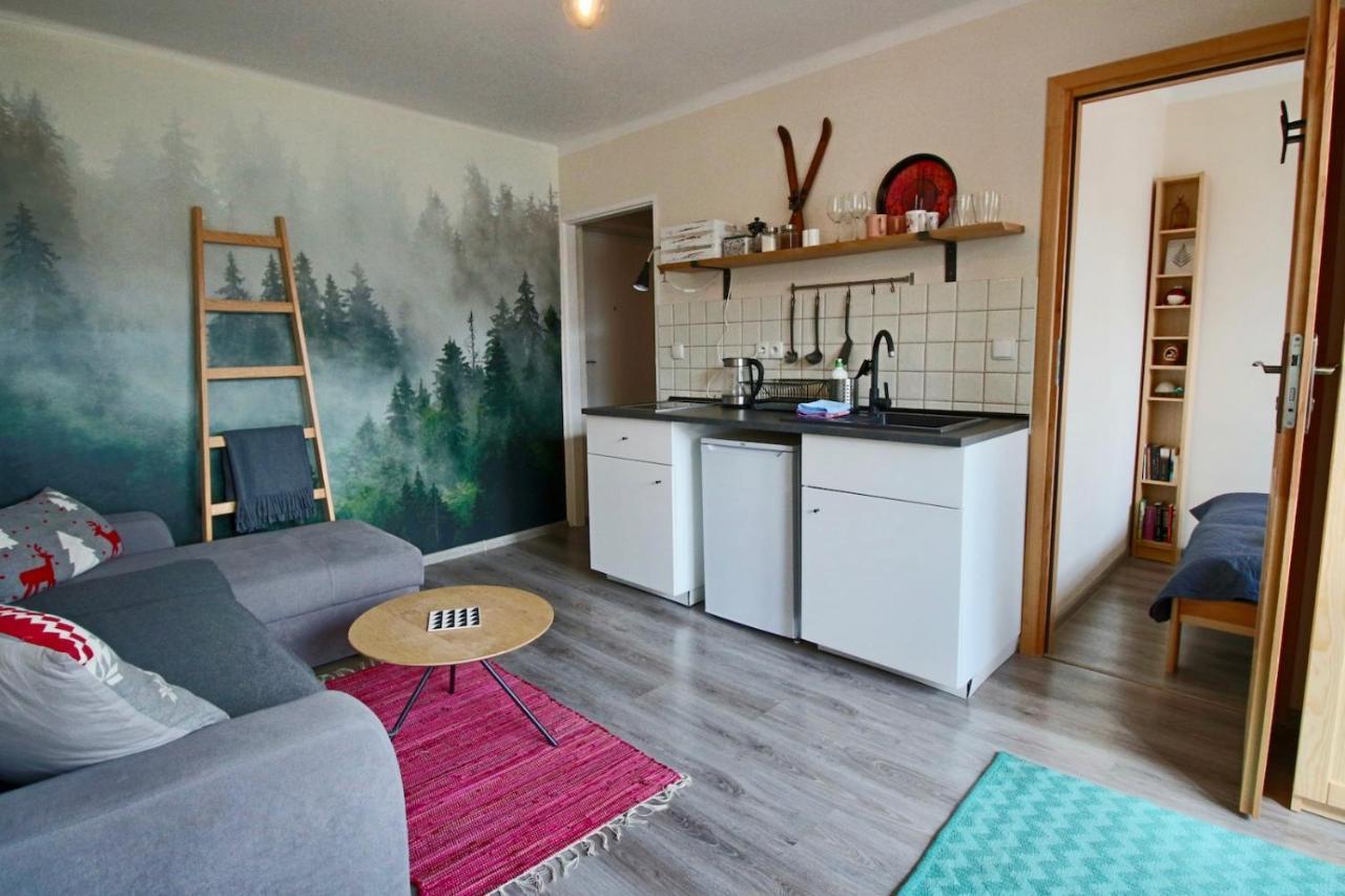 شقة Apartament Bazatatry Sloneczny II زاكوباني المظهر الخارجي الصورة